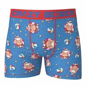 Santa in Pool Crazy Boxer Briefs